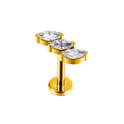 Labret T420